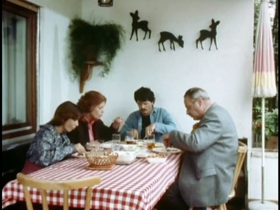 Der Bürgermeister - Ganze Serie - Folge  13 /13 - 'Gebietsreform'  1979