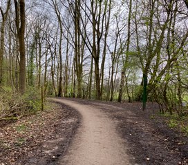 Discover the Tranquil Beauty of Greater Manchester Ringway 🚶‍♂️