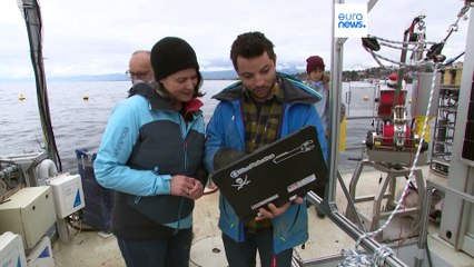 Le lac Léman menacé par des températures élevées