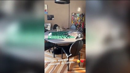 Conte studia tattica, ma c'è un'invasione di campo...