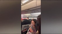 Assurdo, passeggeri trovano un serpente vivo sull'aereo