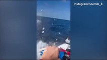 Video Instagram, Totti e Noemi scatenati sulle moto d'acqua alle Maldive