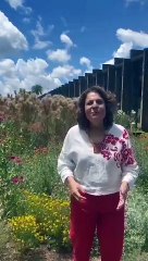 Reitora da Universidade de Brasília (UnB), Márcia Abrahão deixa mensagem para o Dia Internacional da Mulher
