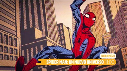 Spider Man: Un nuevo universo