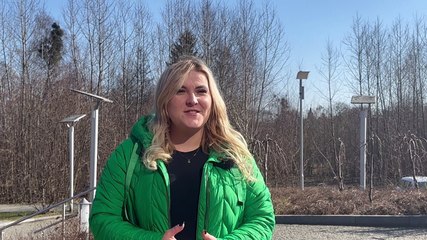 Obłędny Dzień Kobiet w Olecku - Zapowiedź