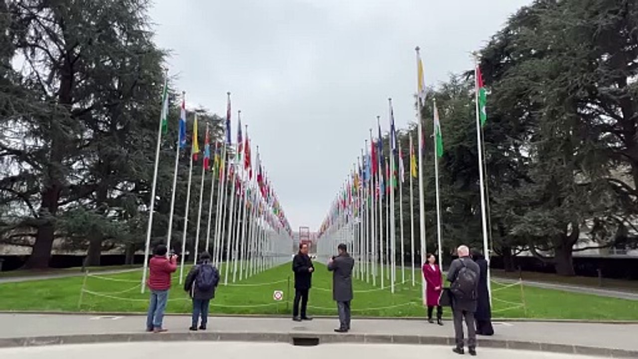 ONU diz que assentamentos israelenses nos Territórios Palestinos constituem 'crime de guerra'