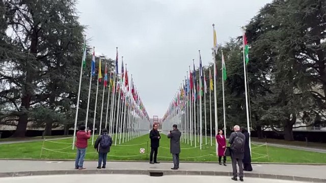 ONU diz que assentamentos israelenses nos Territórios Palestinos constituem 'crime de guerra'