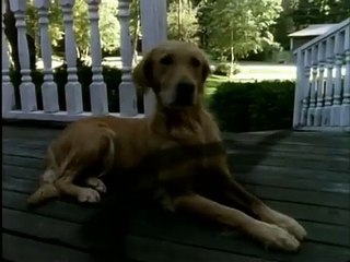 Goosebumps (S01/E11): My Hairiest Adventure