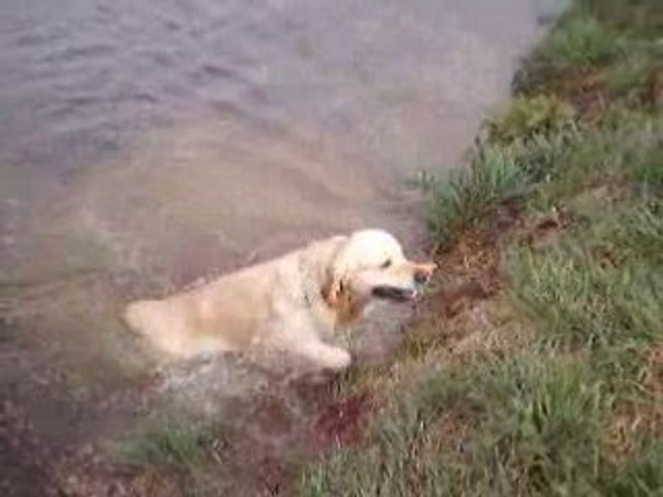 baltic : ca y est je sais nager !!