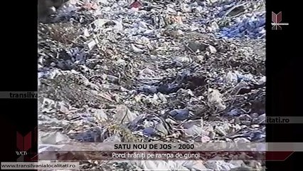 SATU NOU DE JOS-MM  1999 - Porci hrăniți pe rampa de gunoi