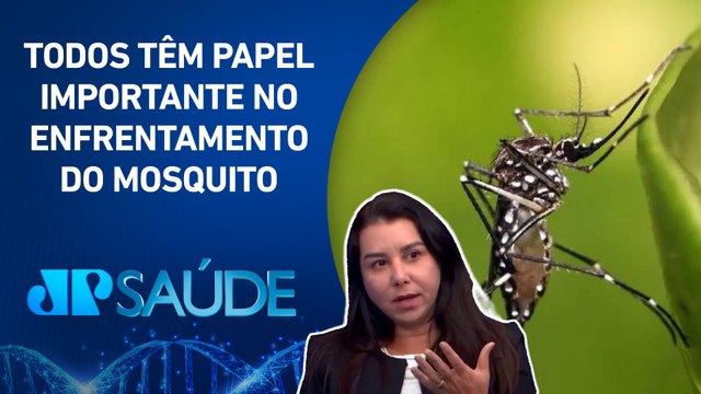 Aedes aegypti é responsável pela transmissão da dengue, vírus chikungunya e zika vírus | JP SAÚDE