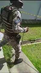 GCM resgata mais uma jiboia em ambiente escolar e captura teiú em Salvador