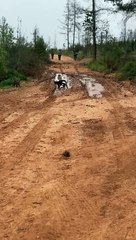 Dog Dives Straight Into Mud