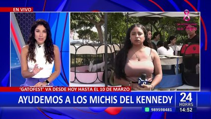 Inicia el "Gatofest" en Miraflores: Buscan ayudar a gatitos del parque Kennedy