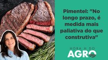 Bolsa Carne de Lula vai elevar preço da carne e do boi? | HORA H DO AGRO