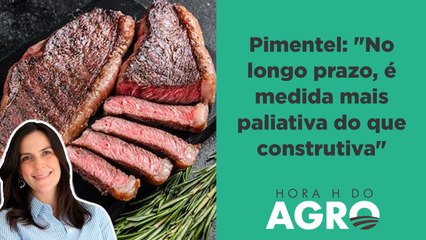 Bolsa Carne de Lula vai elevar preço da carne e do boi? | HORA H DO AGRO