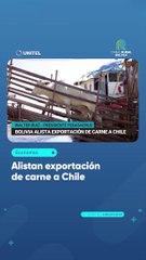 Alistan exportación de carne a Chile