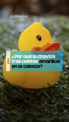 ¿Por qué la chaviza trae patitos amarillos en la cabeza?