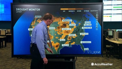 Gulf Coast Alert: Stormy Weather Expected This Ides of March 🌧️