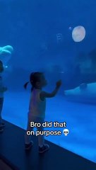 He looks so smug andfunn satisfied with himself after