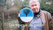 Travaux du jardin - 9 mars 2024 : la rhubarbe