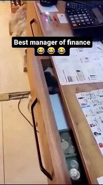 Funny cat videos I sincerely hope you enjoy it, follow @funnyanimal2211 if you wanna laugh every day #...#animals #funnydogvideos #funnycatvideos #animalvideos #funnyanimalvideos #funnyafricanvideos #funnyanimal #videosfunny #f