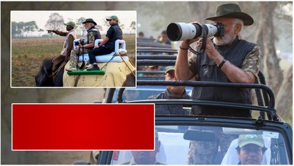 Kaziranga National Parkలో PM Modi ఏనుగు సఫారీ | Telugu Oneindia