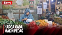Makin Pedas, Jelang Ramadan Harga Cabai Merah di Yogyakarta Sentuh Rp100 Ribu