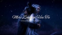 Meri Zindagi Hai Tu - Lofi (Slowed + Reverb) - Jubin Nautiyal, Neeti Mohan - SR Lofi