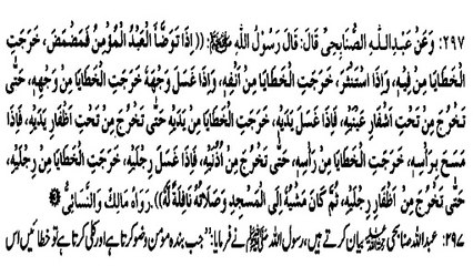 WUZU KARNY SY MISTAKES KESY NIKALTI HAIN? (297)
