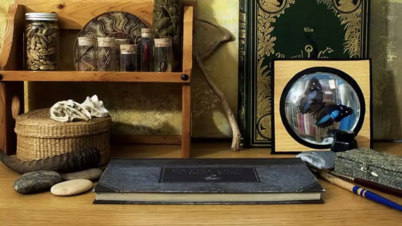 Extinction | BBC Science Club | Animation Educational