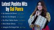 Ay Sanama Be Parwa | Gul Panra Hits | Pashto Jukebox 2024