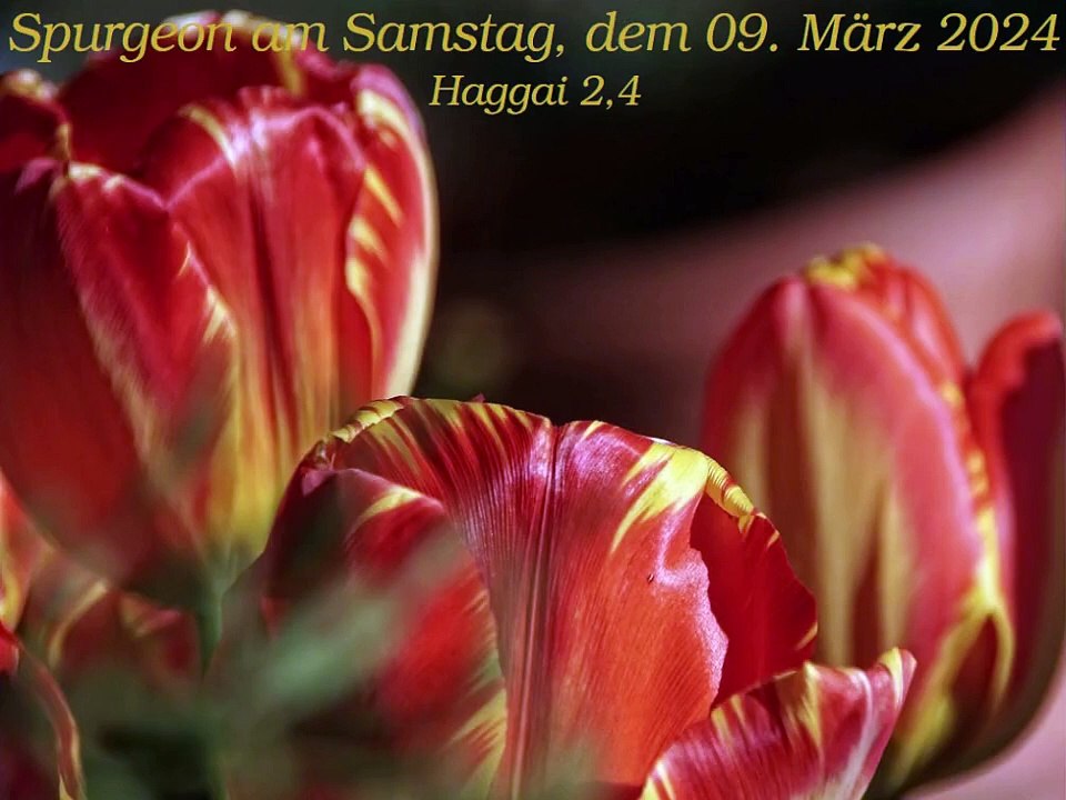 Spurgeon am Samstag, dem 09. März 2024