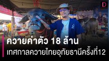 ควายค่าตัว 18 ล้านยลโฉมได้ ในงานเทศกาลควายไทยอุทัยธานีครั้งที่12 | HOTSHOT เดลินิวส์ 09/03/67