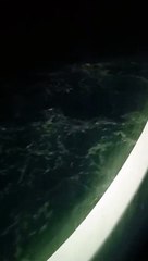 VID-20240117-WA0067