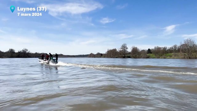 Lâcher de civelles à Luynes (37)