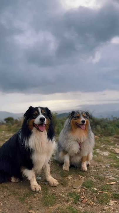 Une balade sous la pluie 