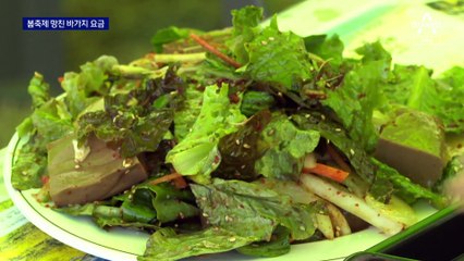 양배추가 더 많은 바비큐…봄 축제 망친 바가지 요금