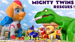 Paw Patrol Mighty Pups Mighty Twins Rescue Stories