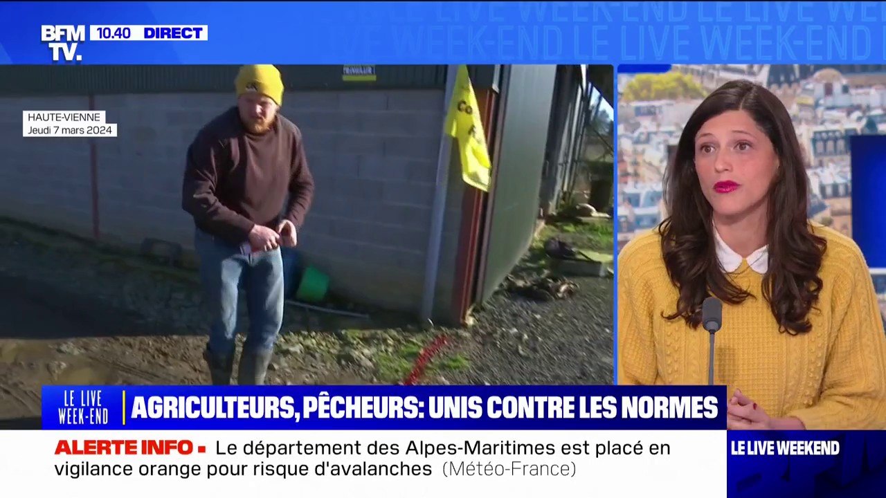 Eléonore Caroit (député Renaissance des Français établis hors de France) sur le Rassemblement national: "Leur seul projet européen c'est de détruire l'Europe"