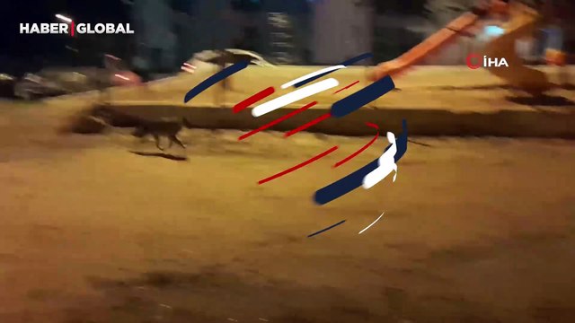 Sinop'ta şehre indiler! O anlar kayıt altına alındı