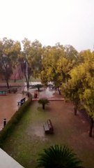 Romantic Performance great weather #song #love #music #tiktok #wedding #arabianoud #foryou #tseries