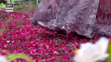 Ishq Hai Episode 29 & 30 _ Part 2 _ Subtitle English _ ARY Digital Drama