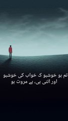 : اردو شاعری کا سفر"