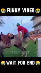 New Funny Video 2024  #viralvideo #trending #funnyvideo