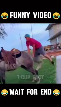 New Funny Video 2024 #viralvideo #trending #funnyvideo