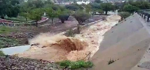 Wadi Overflow Causes Flooding 🌊
