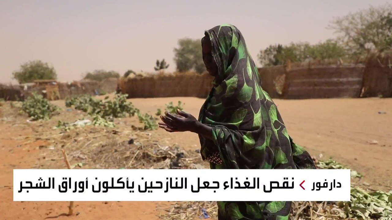 نازحون سودانيون في دارفور يأكلون أوراق الشجر ومن القمامة