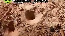 حفر غريبة جدا