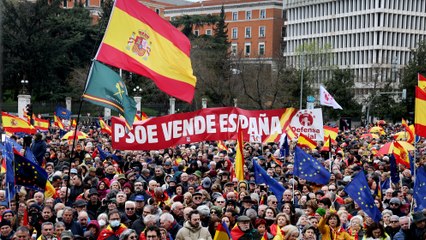 Vox pide al PP que no tramita la amnistía en el Senado en una marcha con 15.000 personas